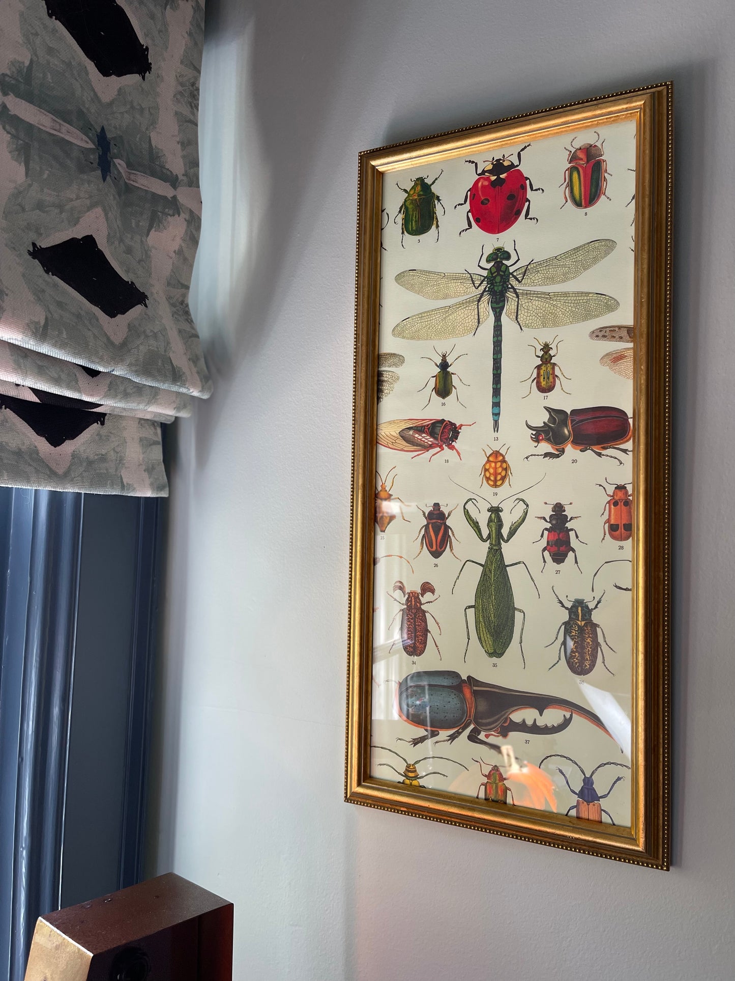 Bug Lithograph Framed in Gold